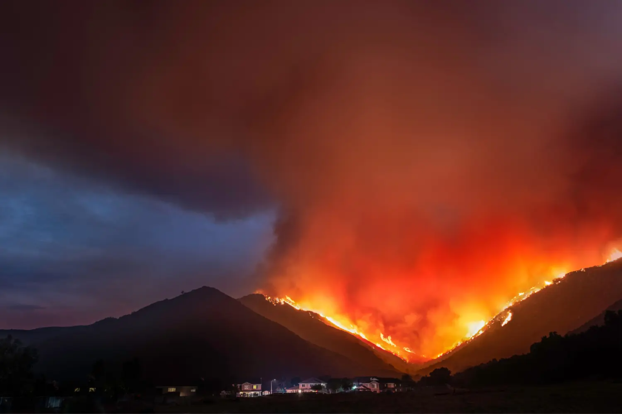 csin_2512.02-wildland