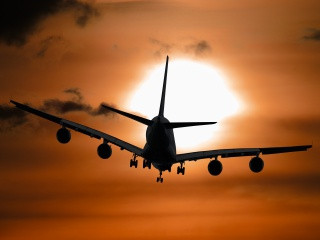 artichoke_20-travel