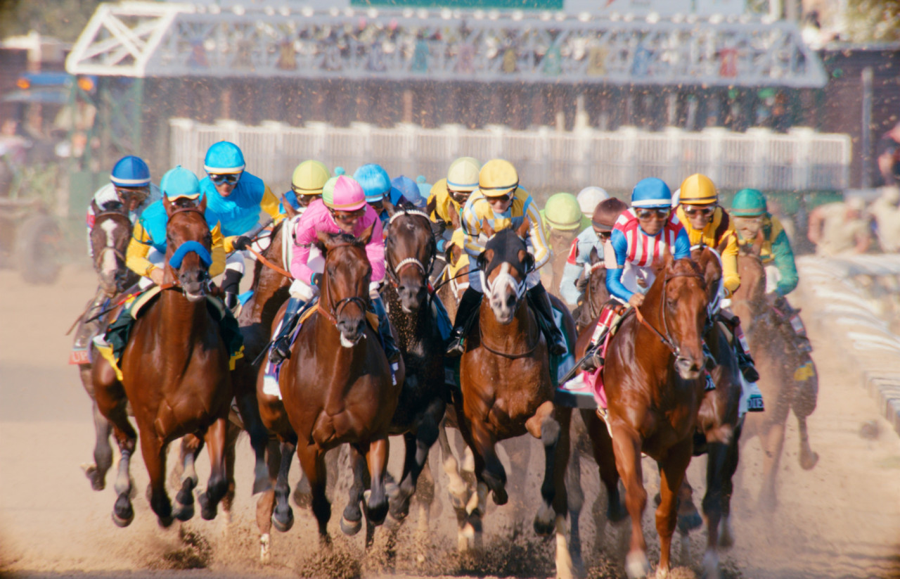 Derby-Pic