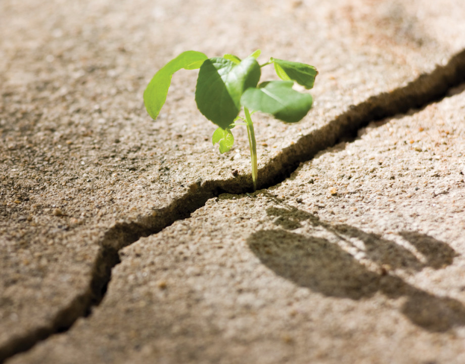 23.12-04_Low-Carbon-Concrete