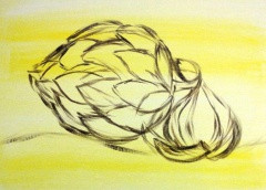 artichoke_01-artichoke_sketch